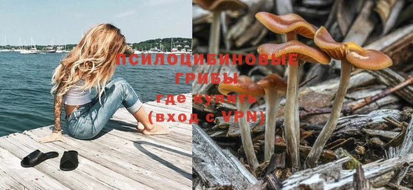 мяу мяу кристалл Магас